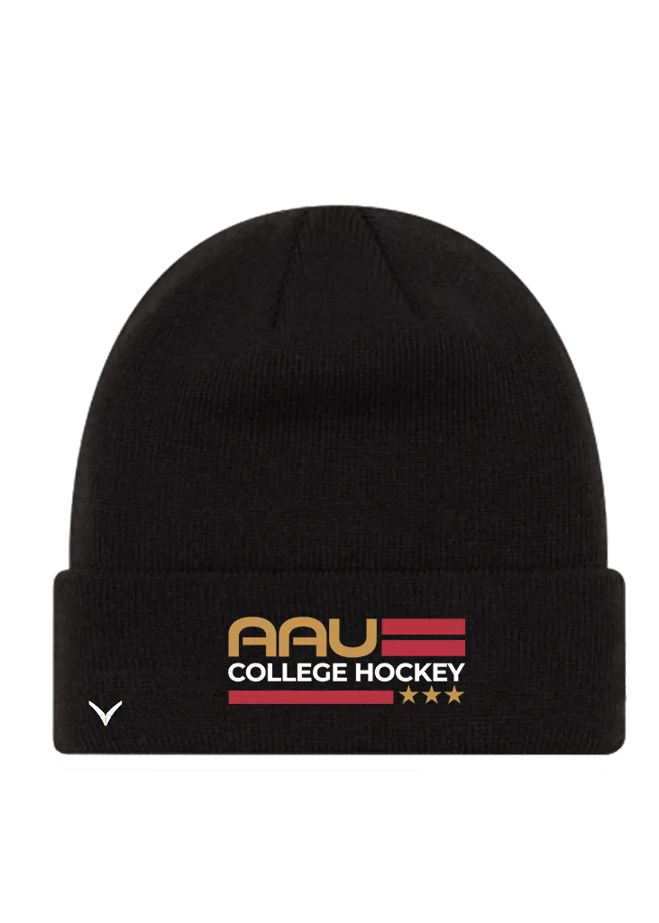 AAU Beanie / Toque