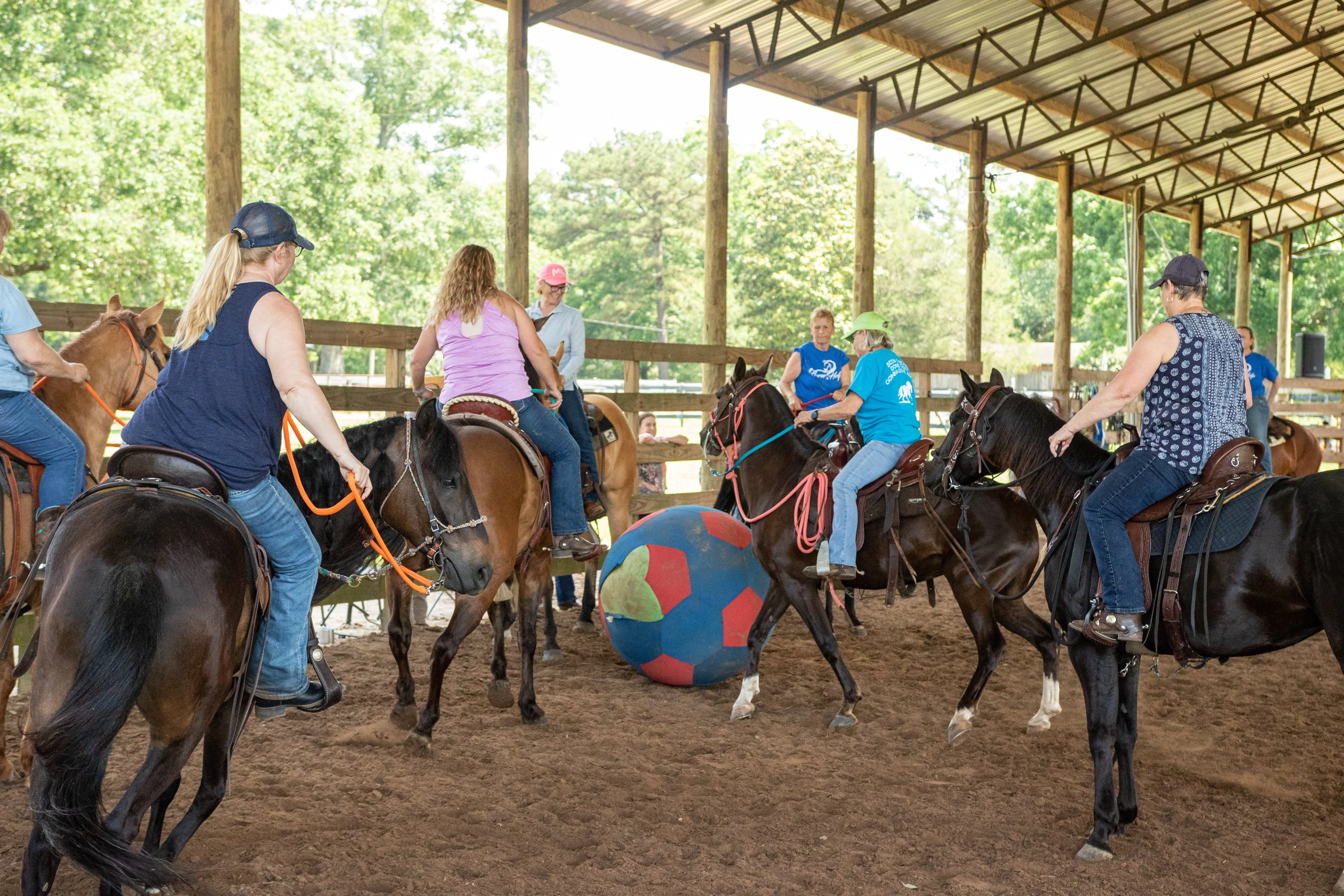 Horse Help Train-Off Retreat: Additional Participant (Staying in same room)