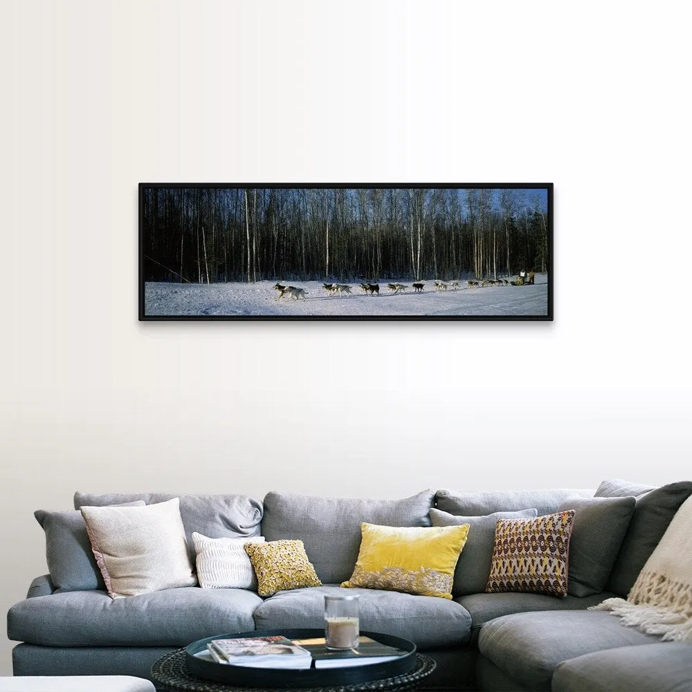 "18 huskies begin the long haul of 1049 miles to Nome, John Barron in Iditarod" Black Float Frame Canvas Art